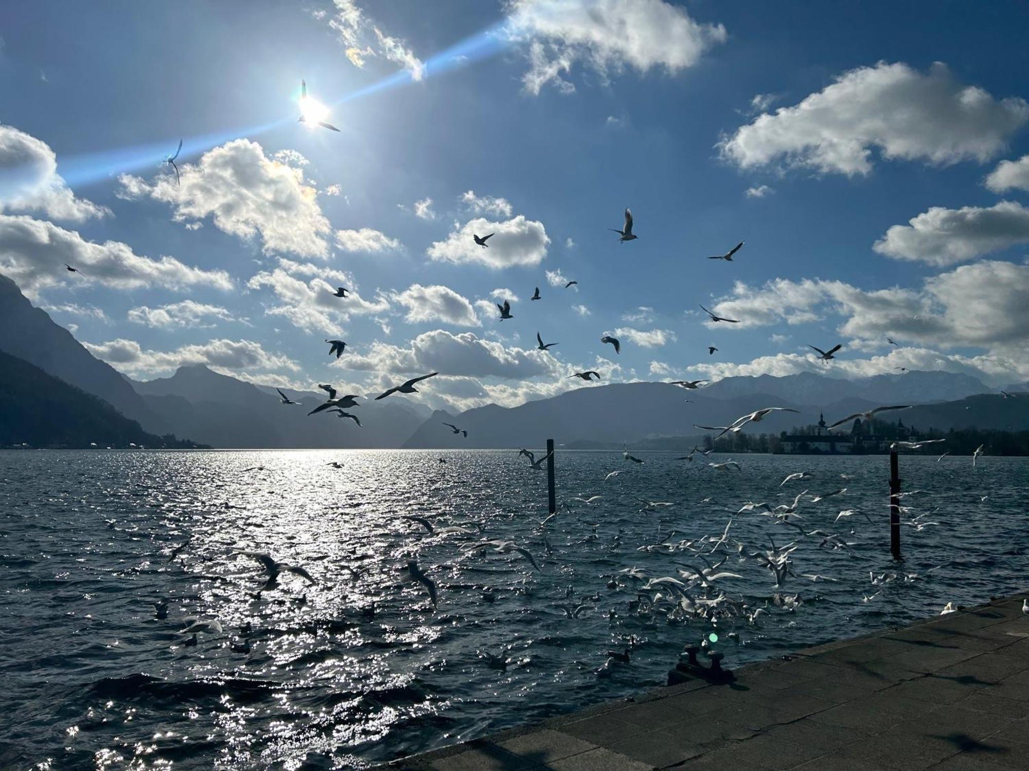 Citylake G23 Mit Kostenlosem Parkgaragen-stellplatz !! * Gmunden