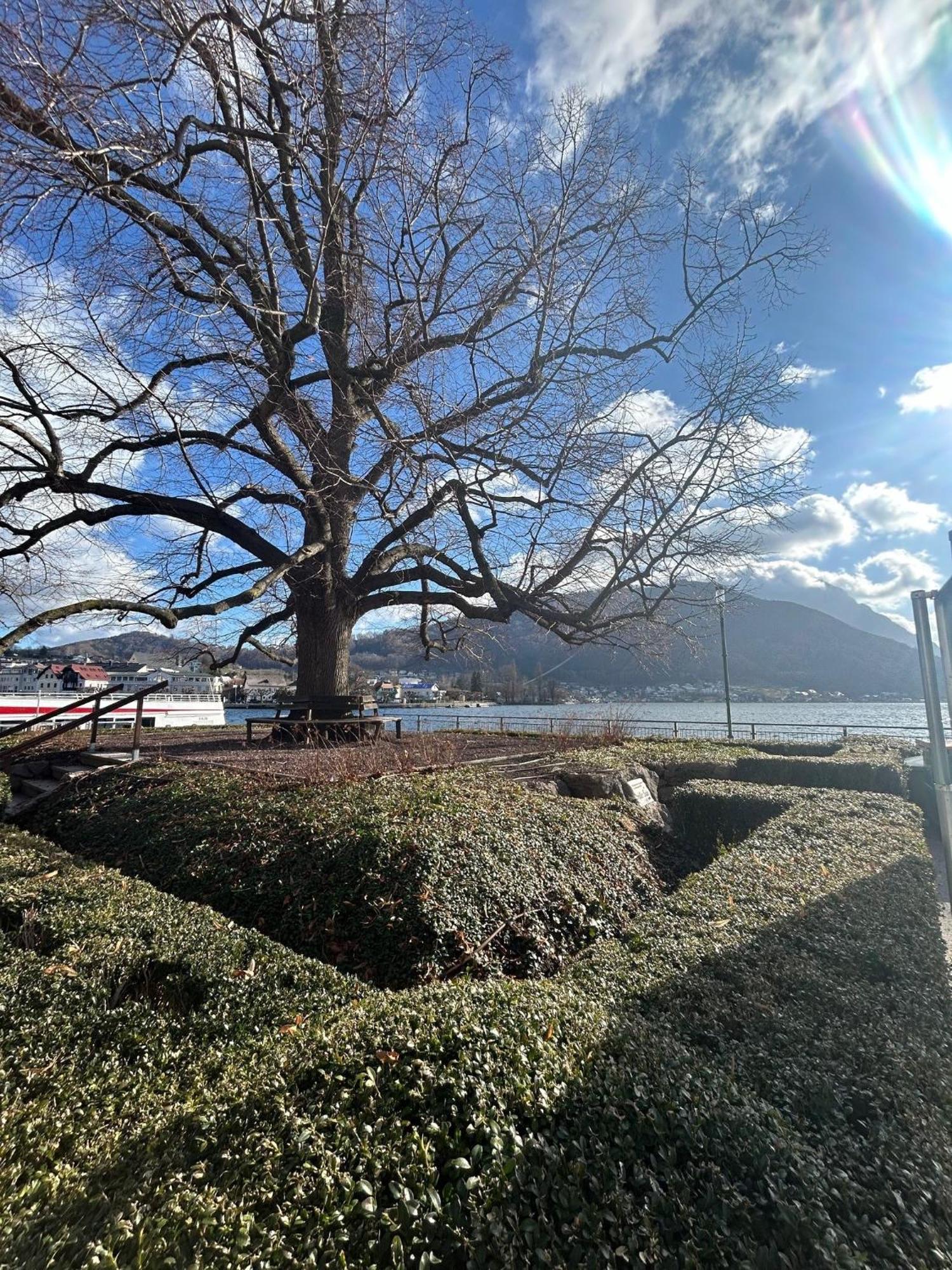Citylake G23 Mit Kostenlosem Parkgaragen-stellplatz !! Gmunden